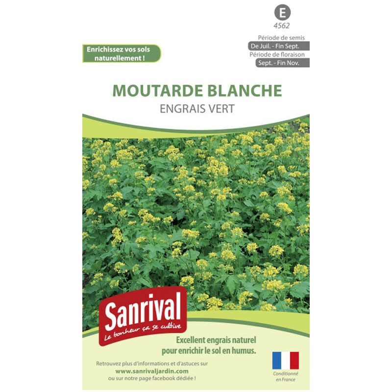 Sanrival - Graines Moutarde Blanche