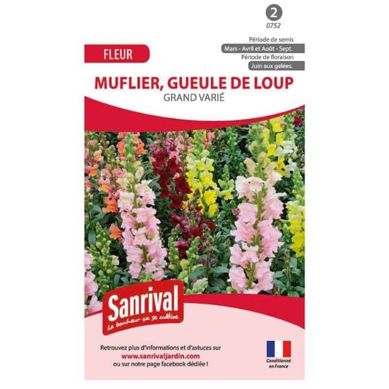 Sanrival - Graines Muflier Grand Varié