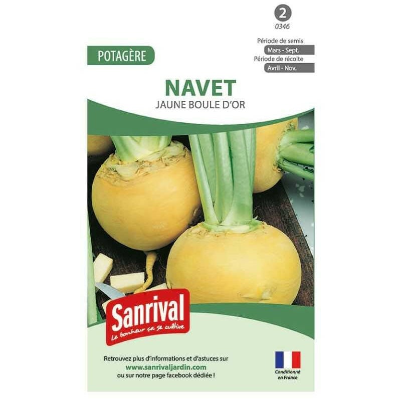 Sanrival - Graines Navet Jaune Boule d'Or
