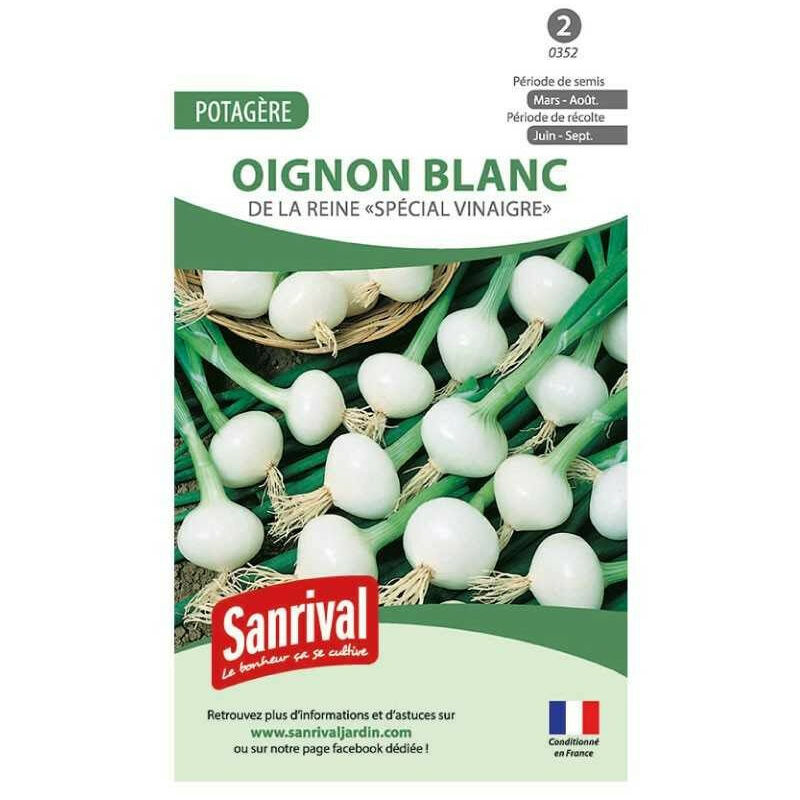 Sanrival - Graines Oignon blanc La reine