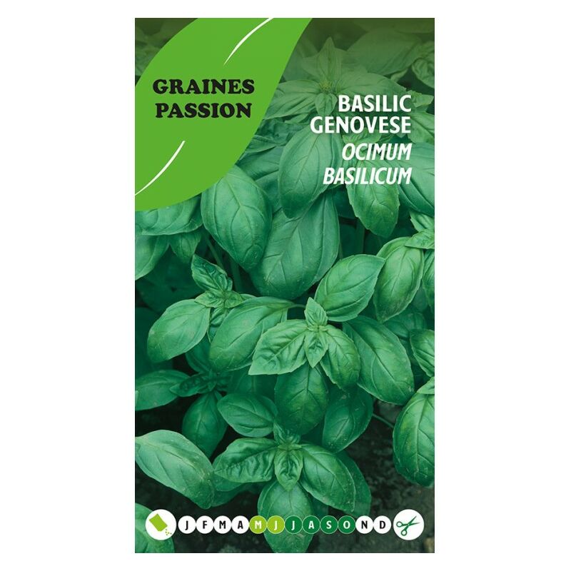 Sachet de graines Basilic Genovese - Graines Passion