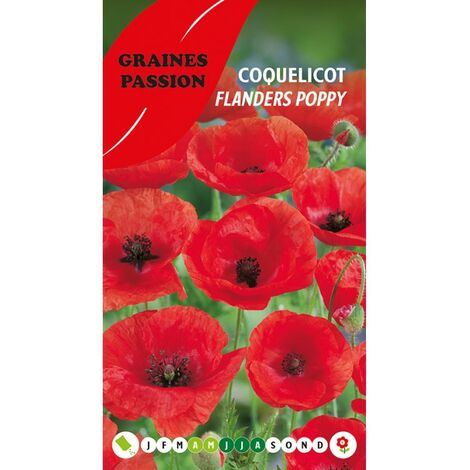 Graines passion , sachet de graines Coquelicot Flanders poppy