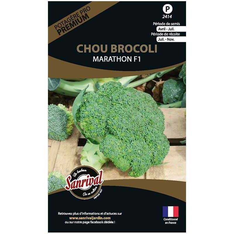 Sanrival Premium - Graines potagères premium chou Chou brocoli Marathon