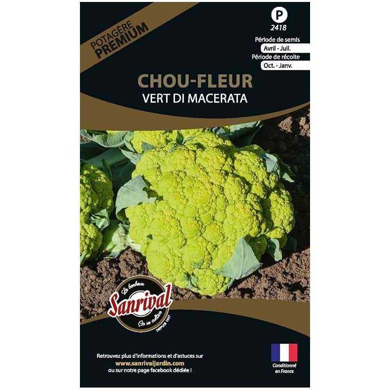 Sanrival Premium - Graines potagères premium chou Chou fleur vert Di Macerata