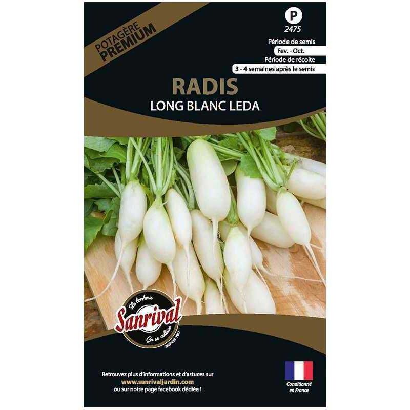 Sanrival Premium - Graines potagères premium radis Long blanc Leda