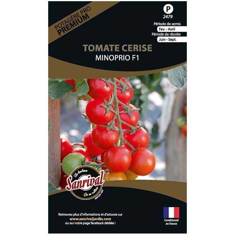 Sanrival Premium - Graines potagères premium tomate Cerise Minoprio