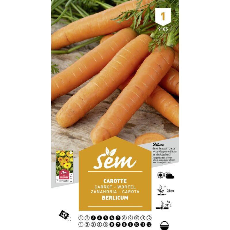 SEM - Graines potagères carotte Berlicum type nantais