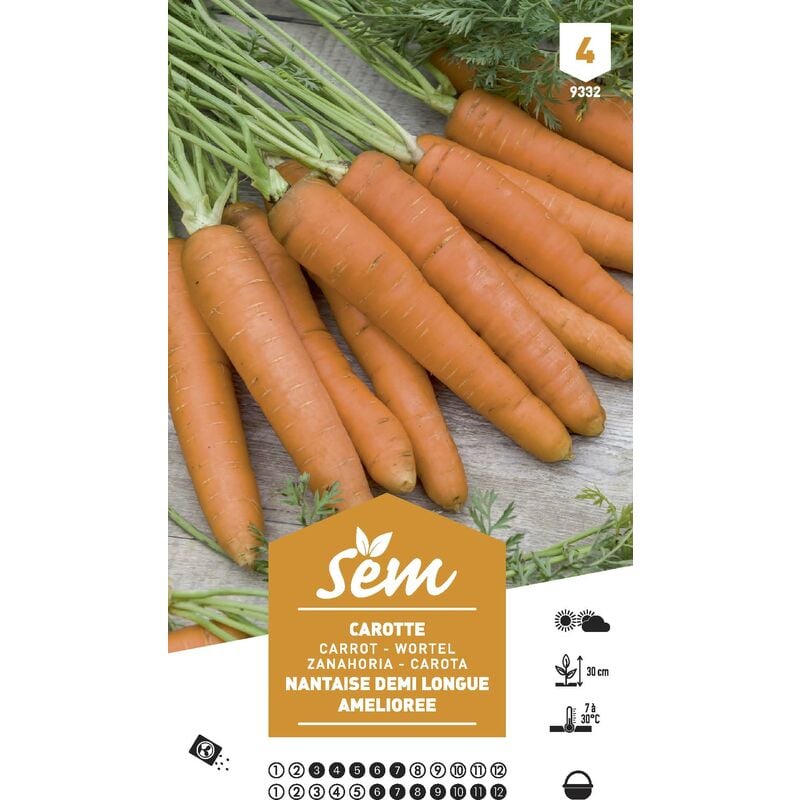 SEM - Graines potagères carotte Demi-longue Nant Amel