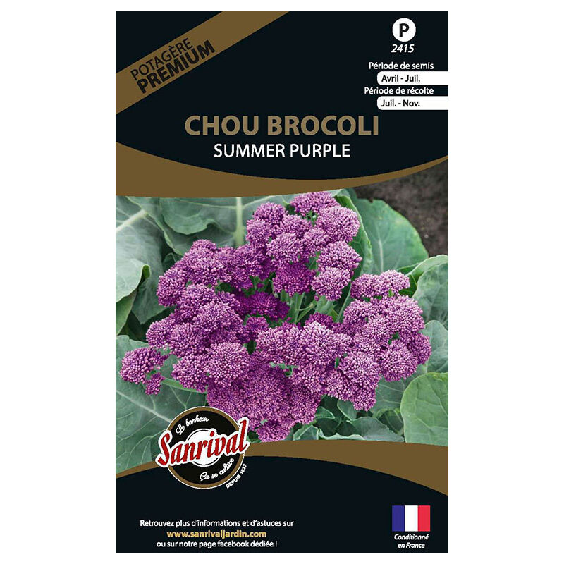 Sanrival Premium - Graines potagères premium chou Brocolis summer purple