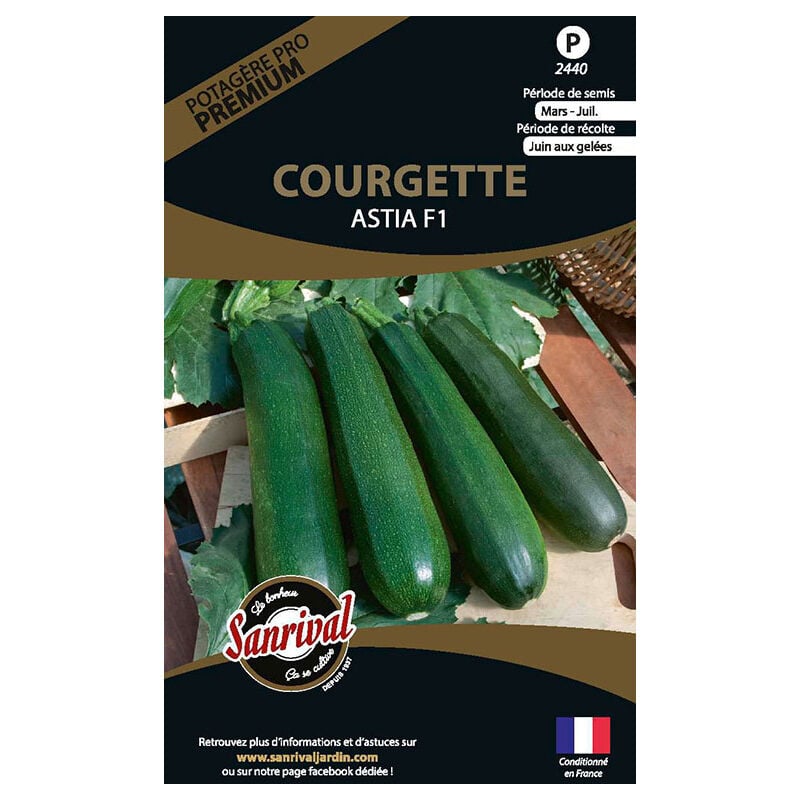 Sanrival Premium - Graines potagères premium courgette Astia