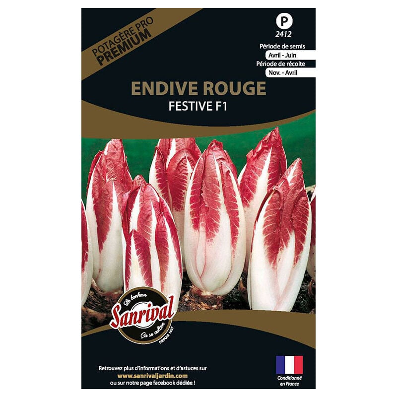 Sanrival Premium - Graines potagères premium endive rouge festive