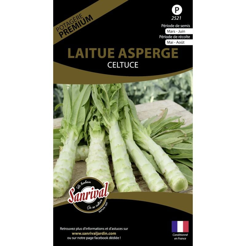 Sanrival Premium - Graines potagères premium laitue Asperge
