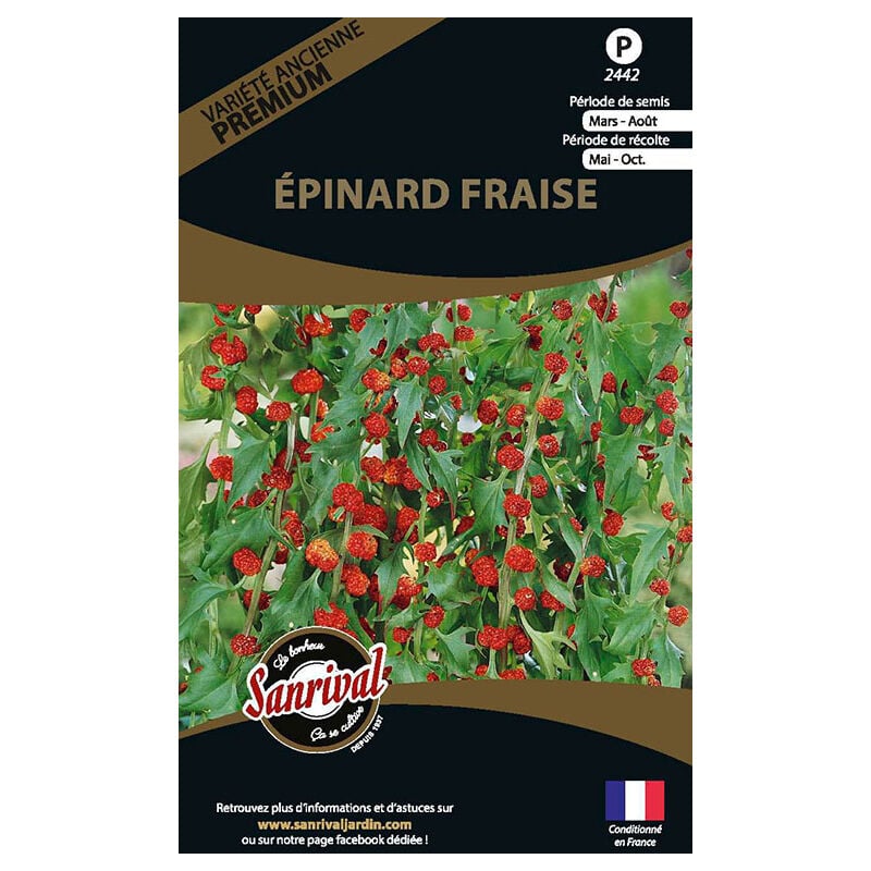 Sanrival Premium - Graines potagères premium épinard fraise