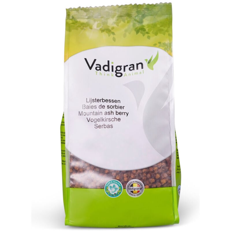 vadigran - graines pour oiseaux baie de sorbier 0.5kg