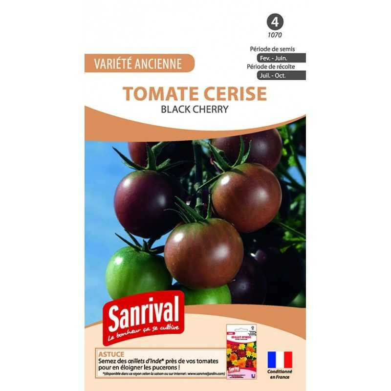 Sanrival - Graines Tomate Cerise Noire Black Cherry