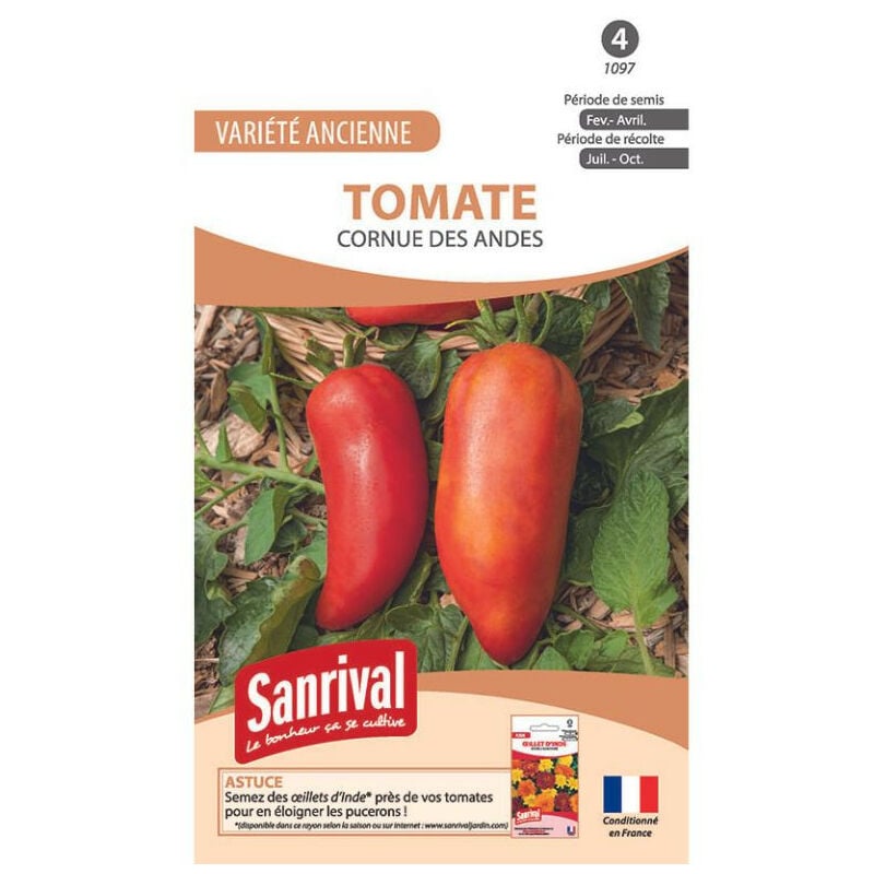 Sanrival - Graines Tomate Cornue des Andes