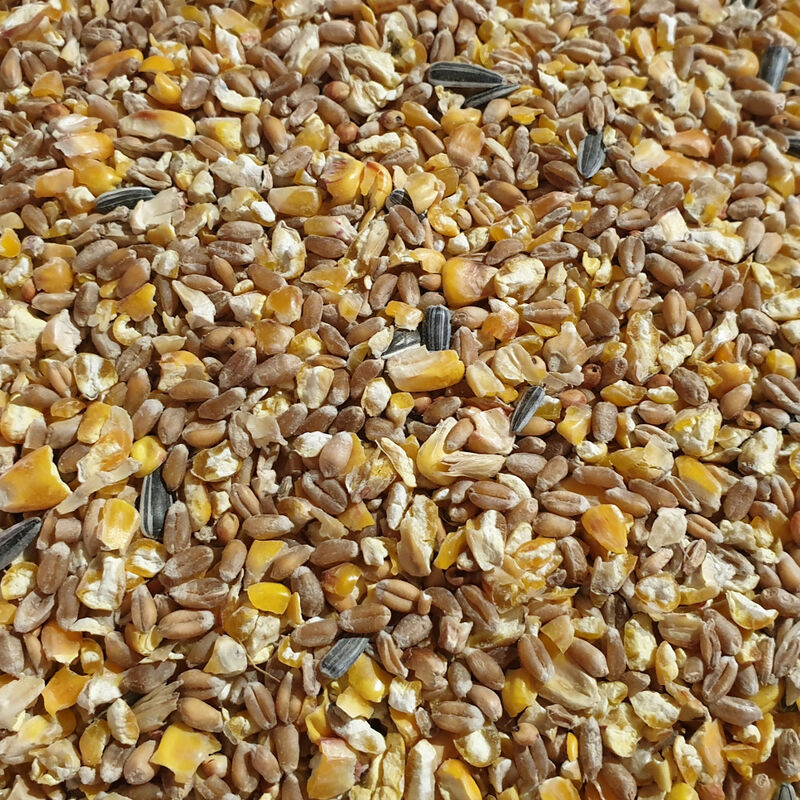 Graines Universal Aliment pour volaille 25 kg Aliment pour volailles Graines Aliment supplémentaire pour poulets Aliment de base