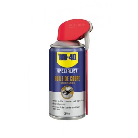 WD40 COMPANY Graisse en spray longue durée WD-40 SPECIALIST, Aérosol de 250 ml ( Prix pour 1 )