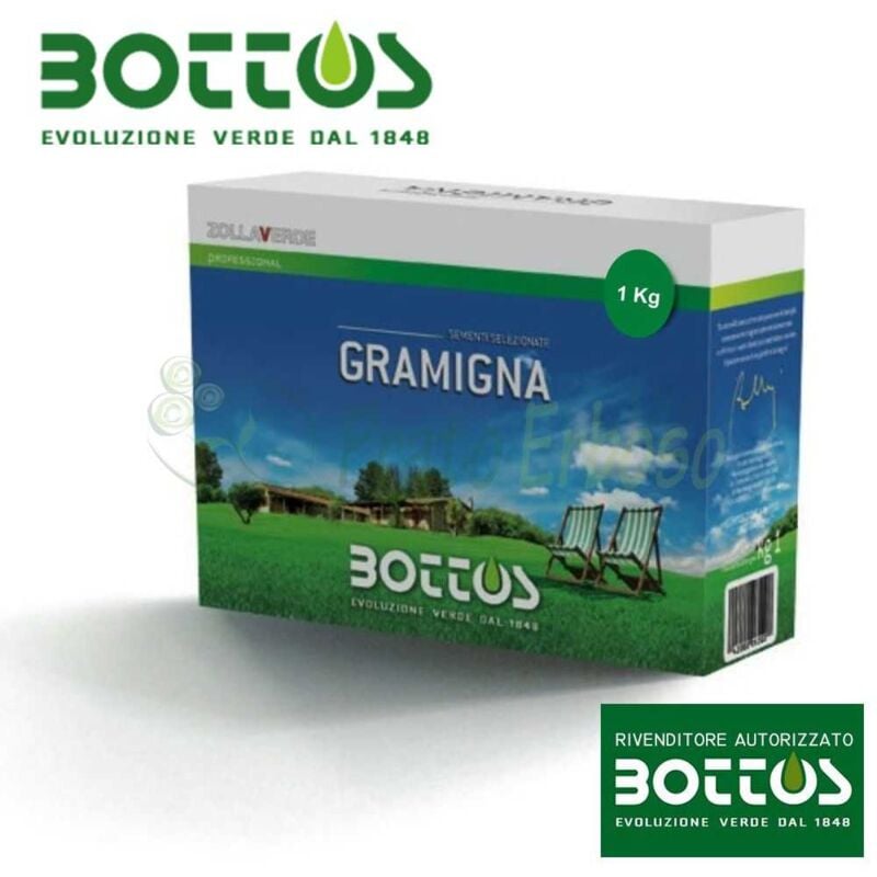 Gramigna commune de Graines pour pelouse-1 Kg