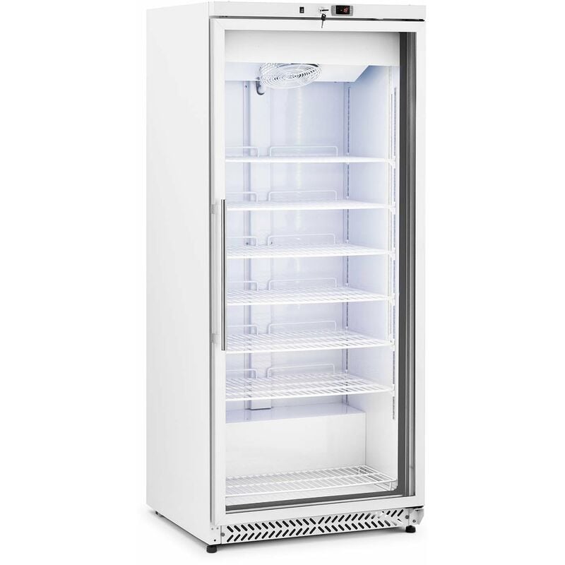 Helloshop26 - Grand congélateur armoire vertical grande capacité réfrigérant r290 (volume : 580 litres, puissance : 492 watts, porte à double vitrage)