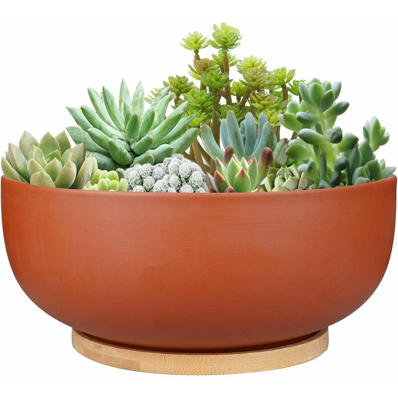Grand pot de fleurs rond en terre cuite de 25 cm avec trou de drainage et soucoupe en bambou pour plantes d'intérieur, couleur terre cuite