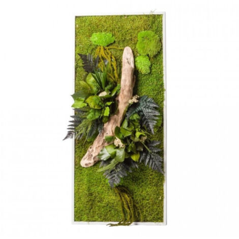 Grand Tableau Vegetal Rectangle Nature Avec Plantes Stabilisees Blanc Cadre