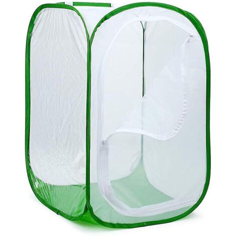 Grand terrarium pliable pour papillons, avec filet à insectes et papillons pour l'élevage.