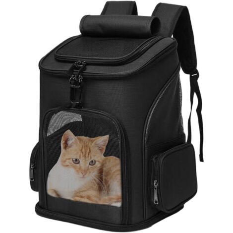 Grande boîte de transport pour chat, pliable, portable,