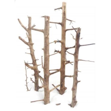 Grande racine décorative pour aquarium, bonsaï, XL 60-100 cm