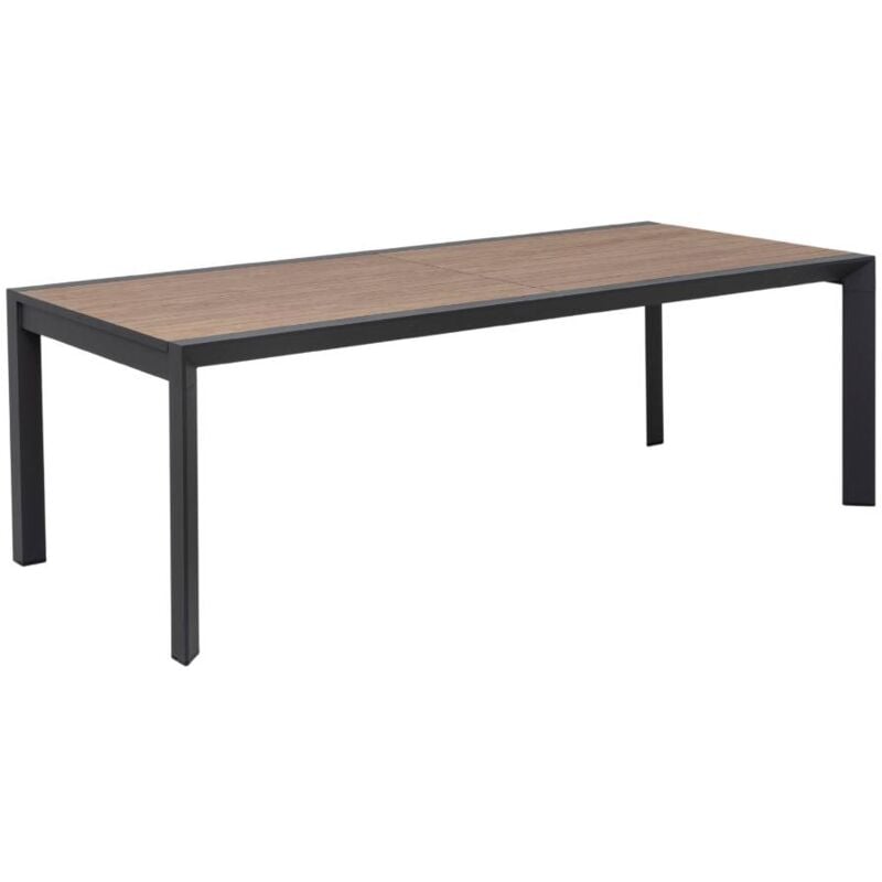 Made In Meubles - Grande table de jardin en aluminium gris et effet bois Ayden