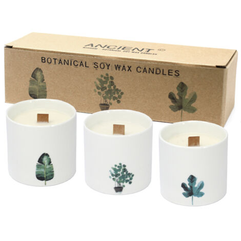 Grandes Bougies Botaniques - Violette des Marais- Vendu par 3