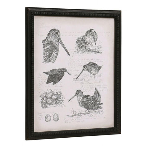 Gravure bécasse - Bois - Noir - Interior's