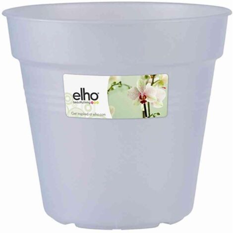 Green Basic Orchidee transparent 15 cm