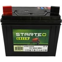 Batterie U1.R9 Greenstar 15377 Pour Tondeuse Autoportée 12V 24Ah
