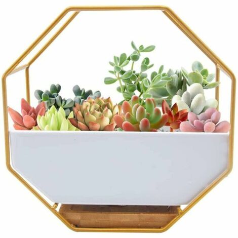 Green Mobility-Jardinière Murale Moderne en Fil de métal,Pot Plante Mural, De Fleurs à Suspendu Verre Mural JardinièRe Clair Vase pour Artificielles Fleur,Cactus,Succulentes,DéCor pour Salon Salle à M