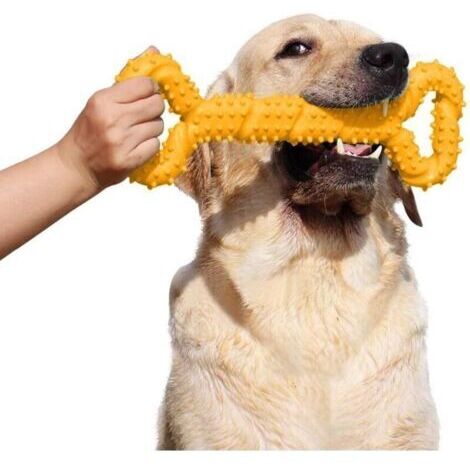 Green Mobility-Jouet à mâcher  en caoutchouc résistant pour chien - Os de 33 cm avec forme convexe - Interactif et robuste pour chiots et chiens actifs de toutes tailles - Jaune