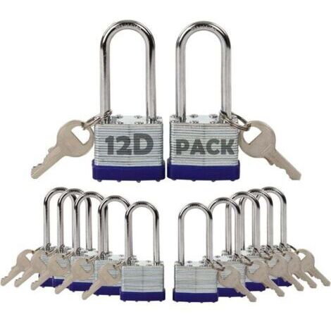 Green Mobility-Lot de 12 Cadenas à Clé Identique Acier Laminé Antirouille 40mm pour Casier Clôture Portail