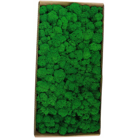 Green Mobility-Mur Moss Conserve Decor Reel Conserve Moss Aucun Entretien Conserve Naturellement Moss Pour La Maison Aux Murs Mitoyens Festivals Artisanat De Noel Bureau Decoration D'Interieur, Type 3