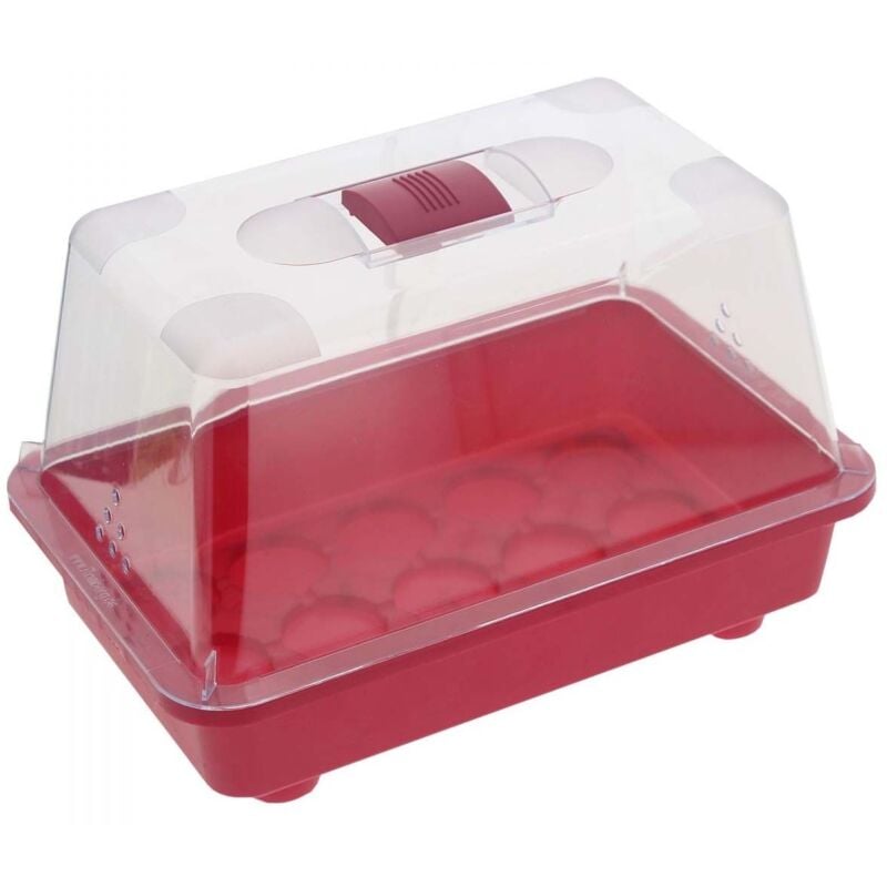 Romberg - Mini serre non chauffante en plastique 29 x 19 x 19 cm Colors