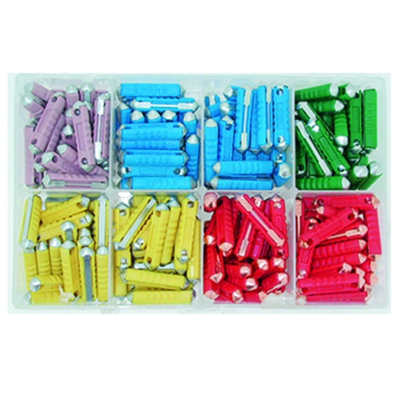 Greenstar - Coffret de fusibles Stéatite 'bna' de 5A à 25A. Composé d'un assortiment de 200 pièces.