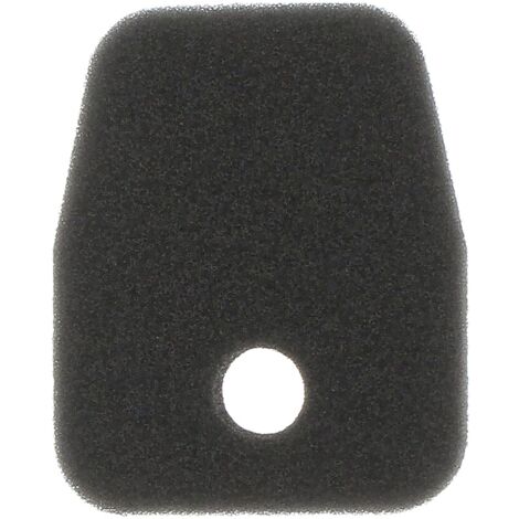 Greenstar 5819 Filtro aria per Tas Tanaka HTD2526PF/HTD2530PF/HTS2530PF 57 x 47 x 12 mm, nero