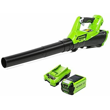 Greenworks 40V Souffleur sans Fil, Vitesse de l'air 177 km/h, Volume d'air 11,05 m³/Mi...