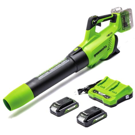 Greenworks 48V(2x24V) Soffiatore Foglie Assiale a Batteria con Motore Brushless, Funzione Turbo, 217km/h, 16,4m³/min, CON 2 Batterie 24V 2Ah e Caricabatterie, Garanzia 3 Anni GD24X2ABK2X
