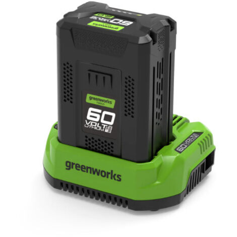 GREENWORKS 60V Pack - 1 x 2,0Ah Lithium-Ionen-Akku - 1 x Ladegerät - GSK60B2