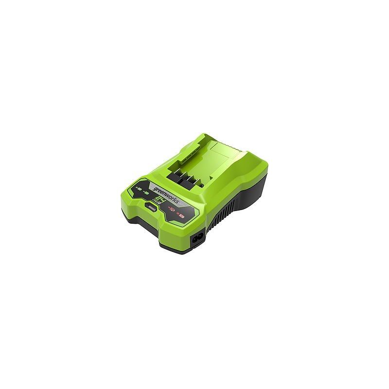 Caricabatterie Greenworks G24C da 24 v 2 a