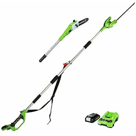 Greenworks Élagueuse sur perche et taille-haie à batterie 2en1 G24PSHK2 (Li-Ion 24V g...
