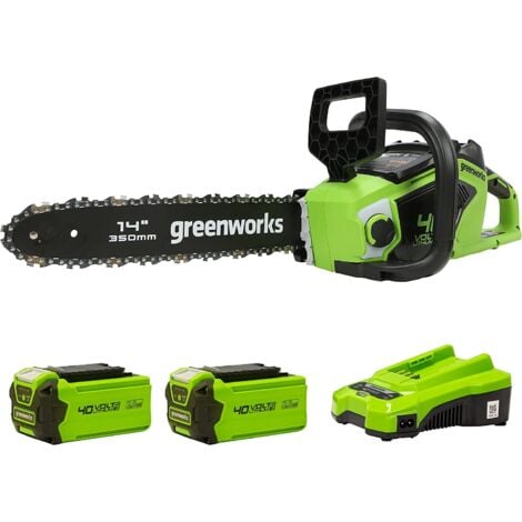 GREENWORKS TOOL Greenworks GD40CS15K2X Motosega a Batteria con Motore Brushless, Lunghezza Barra 14 Pollice (35cm), Velocità Catena 12m/s, 3,5kg, Auto-Lubrificante, 2 Batterie da 40V 2Ah e caricabatterie