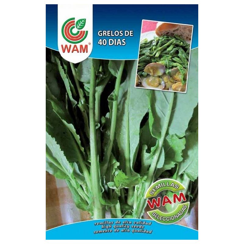 

Grelos de 40 dias 100 Gr