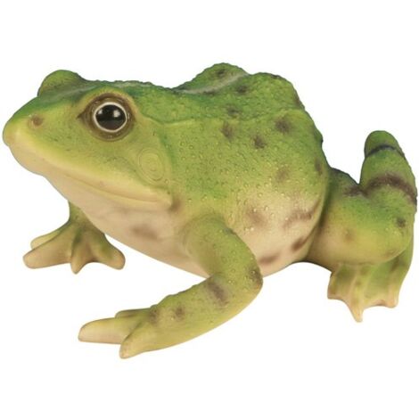 Grenouille décorative en poly-résine 15 cm – Décoration de jardin originale – Lavable à l'eau savonneuse – Près d'un bassin