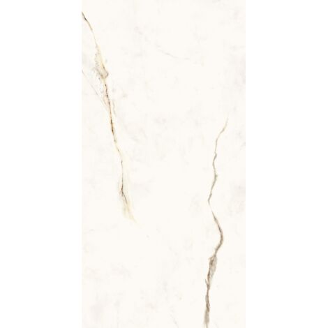 Gres Porcellanato Effetto Marmo Calacatta Gold Extra Opaco 60X120 - EDGD121 (Ceramishop.it)